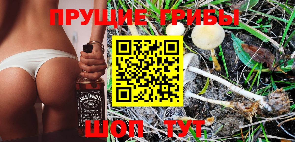 Галлюциногенные грибы GOLDEN TEACHER  купить  сайты  Вязьма  Вход с VPN 